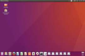 Ubuntu Xenial Xerus 16