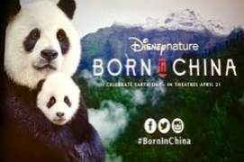 Born In China 2017